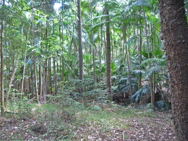 Private Property (1/03/2013 11:48:30 AM)