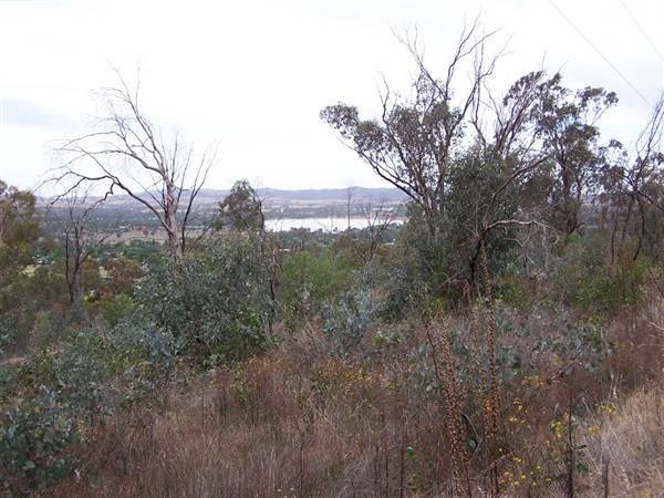 Wagga Wagga (1/03/2013 12:06:49 PM)