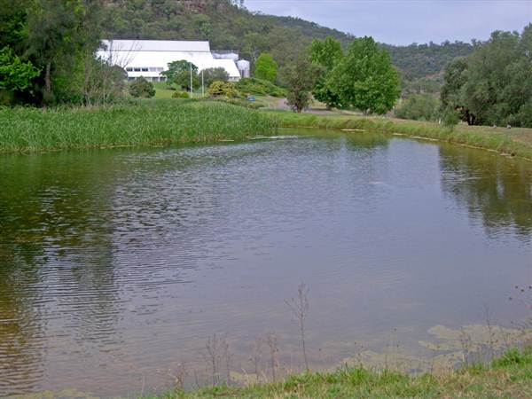 Broke vineyards (1/03/2013 12:14:18 PM)