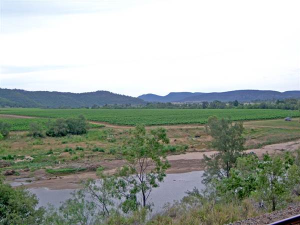 Broke vineyards (1/03/2013 12:15:04 PM)