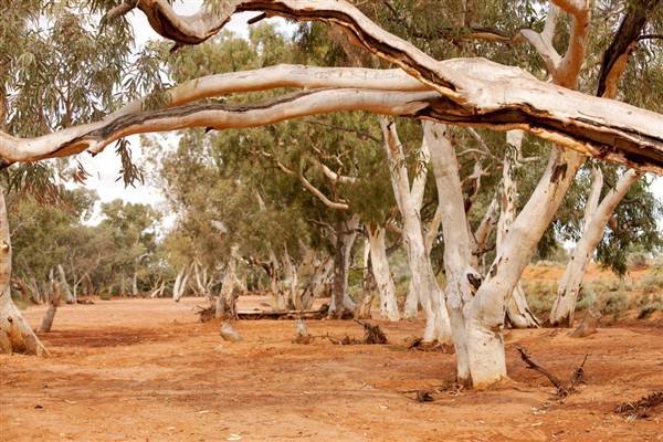BROKEN HILL - Town & Surrounds (1/03/2013 7:09:59 PM)