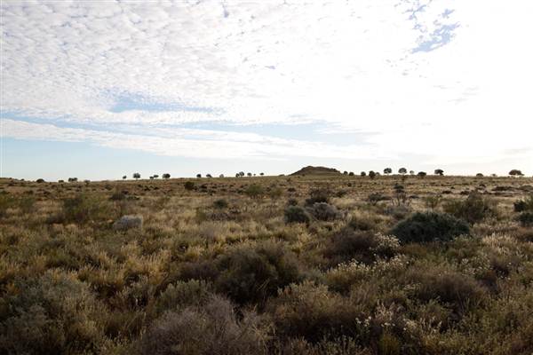 BROKEN HILL SURROUNDS 2012 (2/03/2013 2:53:46 PM)