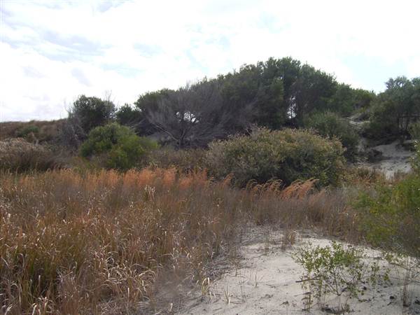 Broughton Island (2/03/2013 3:26:59 PM)