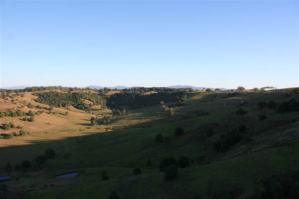Byron Hinterland-Hot Air Balloon (2/03/2013 10:59:57 PM)