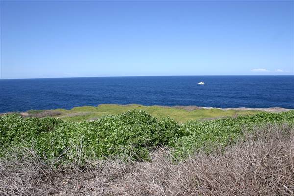 Cape Banks (3/03/2013 8:27:06 AM)