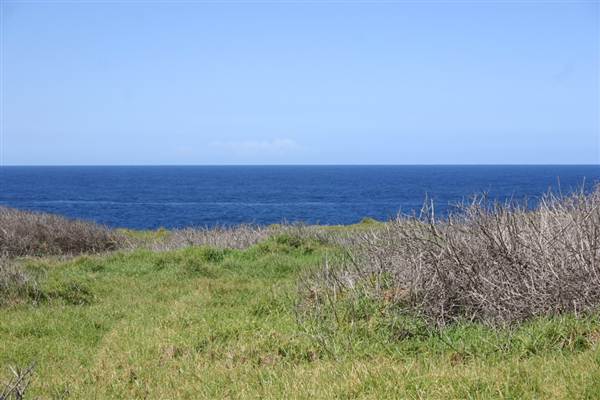 Cape Banks (3/03/2013 8:27:39 AM)