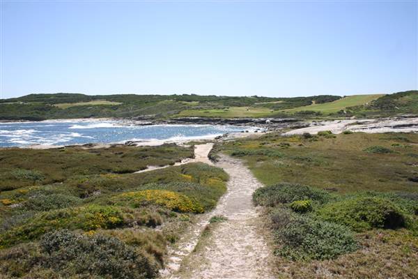 Cape Banks (3/03/2013 8:29:51 AM)