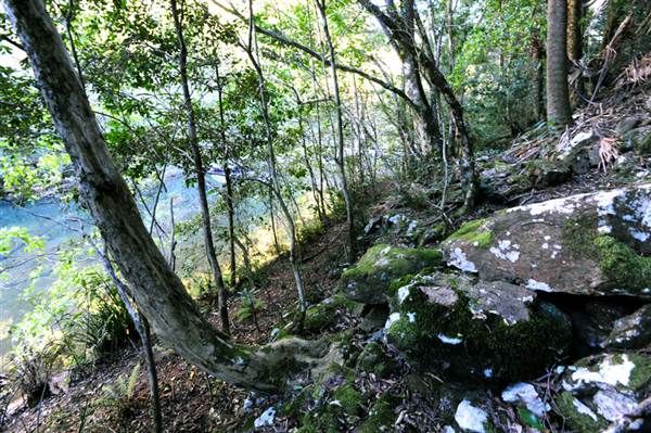 Canyon Park (3/03/2013 8:40:14 AM)