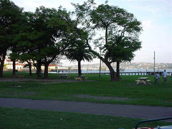 Clifton Gardens Reserve (3/03/2013 4:22:52 PM)