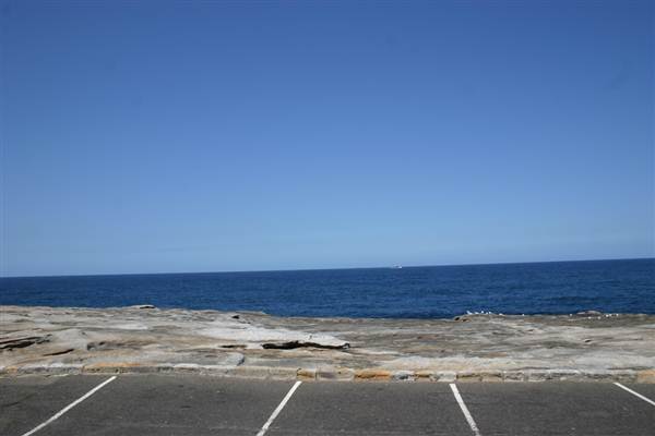 Clovelly Bay (3/03/2013 4:35:02 PM)