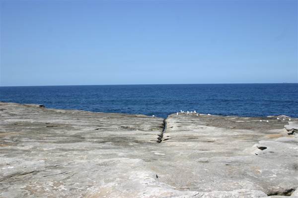 Clovelly Bay (3/03/2013 4:35:31 PM)