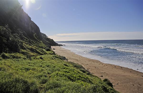 Coalcliff (4/03/2013 9:18:33 AM)