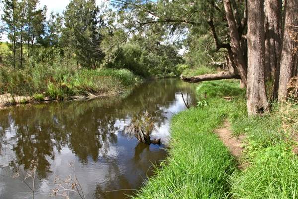 Cox's River at Duddawarra Bridge (4/03/2013 11:35:51 AM)