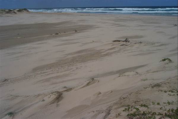 Crescent Head (4/03/2013 11:39:02 AM)
