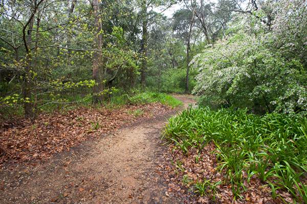Everglades Gardens (4/03/2013 2:05:54 PM)