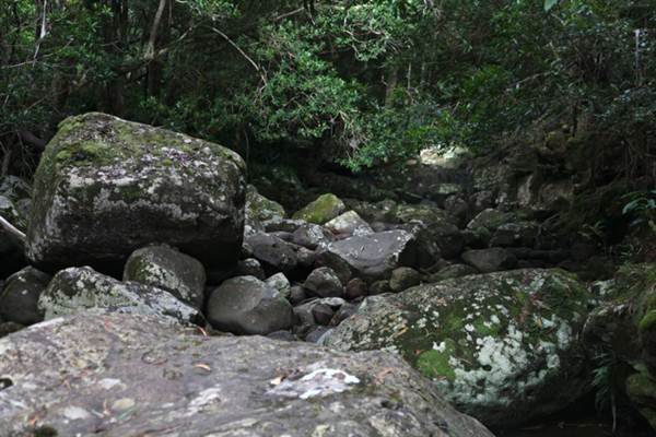 Flatrock, Gibsons Creek (4/03/2013 3:11:06 PM)