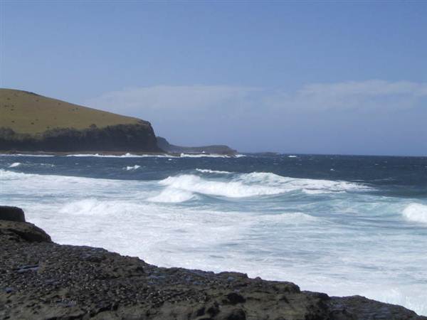 Gerroa (4/03/2013 4:36:01 PM)