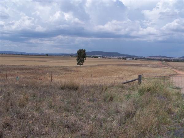 Gilgandra Rural Area (4/03/2013 4:40:05 PM)