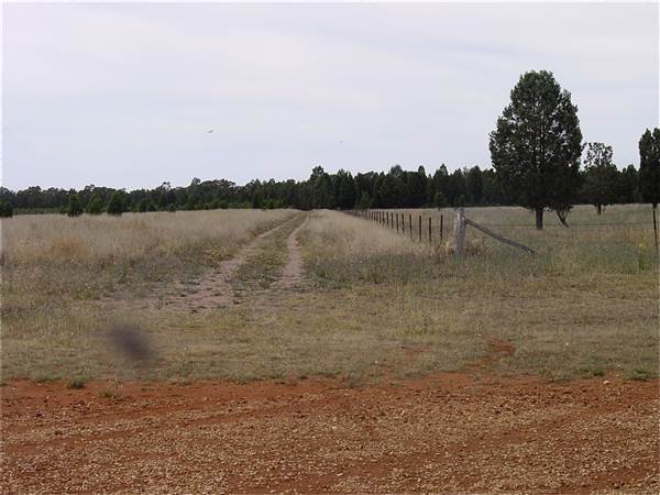 Gilgandra Aerodrome (4/03/2013 4:42:52 PM)