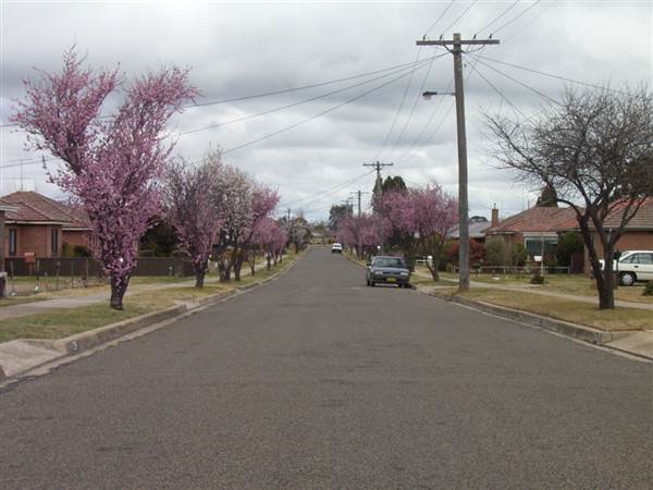 Goulburn (5/03/2013 10:35:35 AM)
