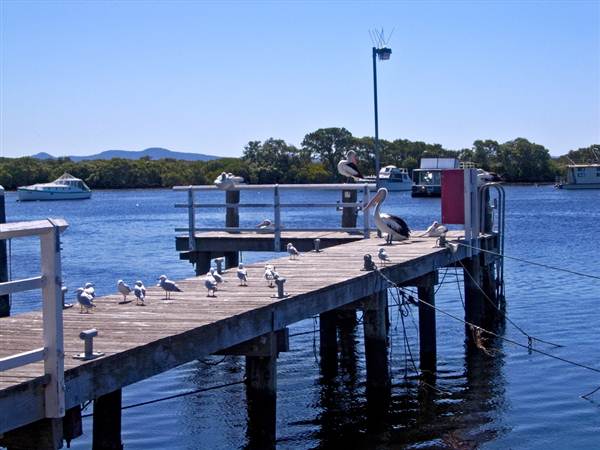 Hawks Nest Area (5/03/2013 1:19:48 PM)