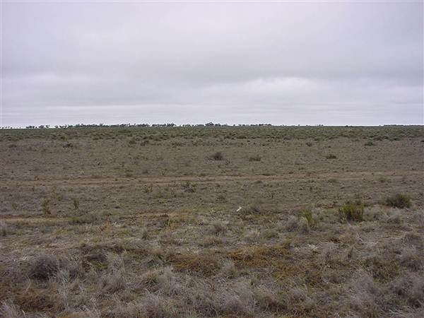 Hay Plains (5/03/2013 1:29:41 PM)