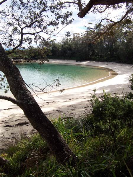 Honeymoon Beach, Beecroft Peninsula (5/03/2013 2:23:37 PM)