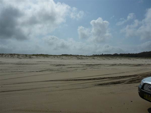Killick Beach & Sand Dunes - Hat Head National Park (5/03/2013 7:29:43 PM)