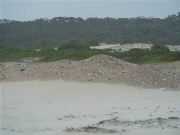 Killick Beach & Sand Dunes - Hat Head National Park (5/03/2013 7:30:06 PM)
