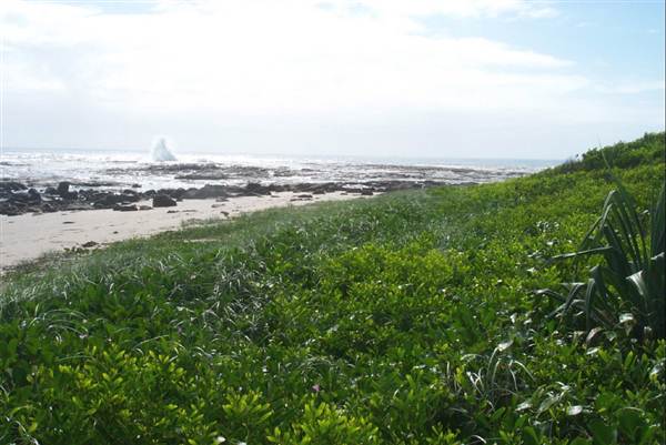 Iluka (5/03/2013 8:34:38 PM)