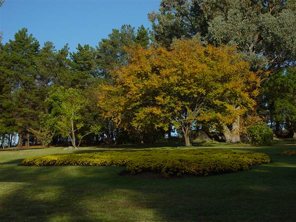 Japanese Gardens Cowra (5/03/2013 10:00:10 PM)