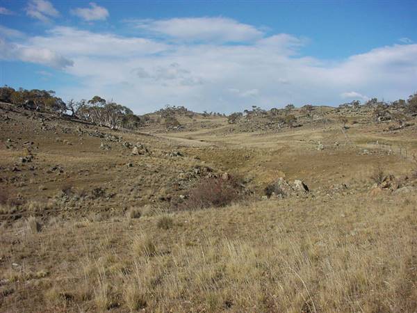 Lake Jindabyne (5/03/2013 11:17:42 PM)