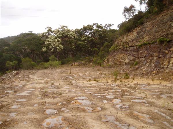 Kimbriki Resource Recovery Centre (6/03/2013 11:11:40 AM)