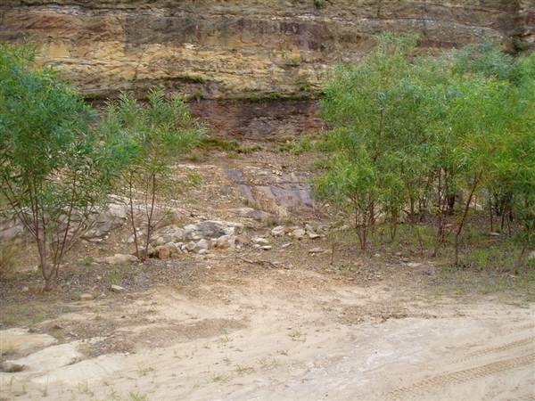 Kimbriki Resource Recovery Centre (6/03/2013 11:12:12 AM)