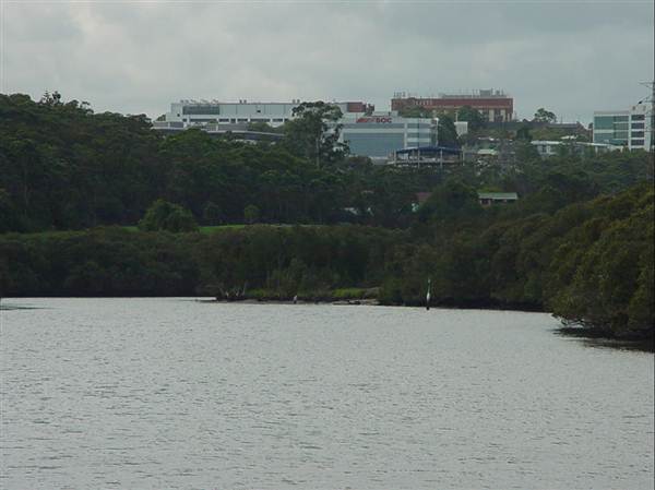 Lane Cove River (6/03/2013 12:07:58 PM)