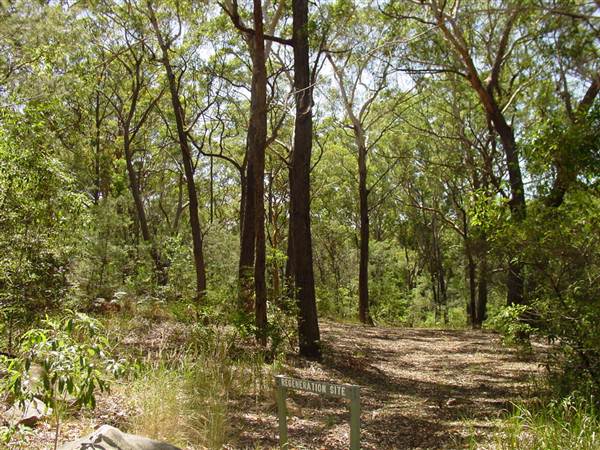Lane Cove National Park (6/03/2013 12:13:41 PM)