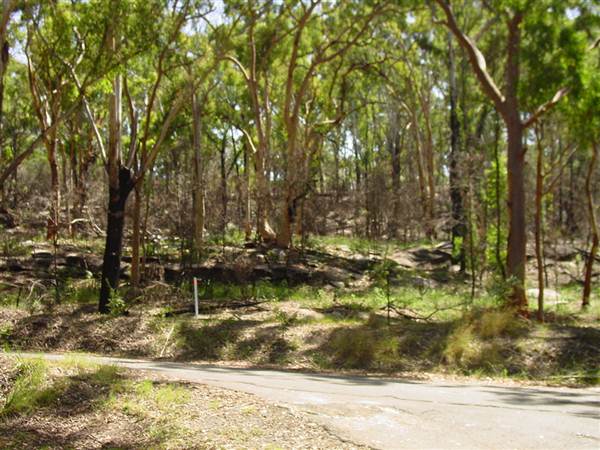Lane Cove National Park (6/03/2013 12:14:18 PM)