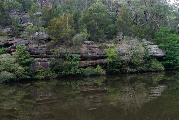 Lane Cove National Park (6/03/2013 12:15:19 PM)