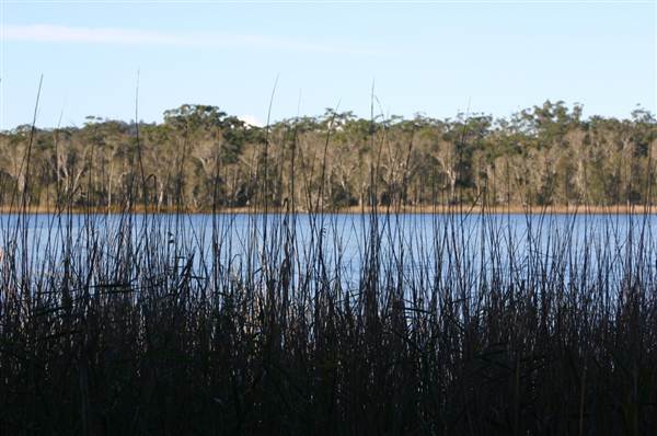 Myall Lakes National Park (6/03/2013 3:23:31 PM)