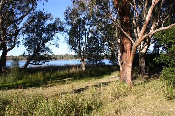Myall Lakes National Park (6/03/2013 3:25:05 PM)
