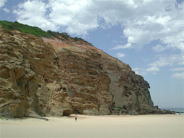 Redhead Beach (6/03/2013 4:14:22 PM)