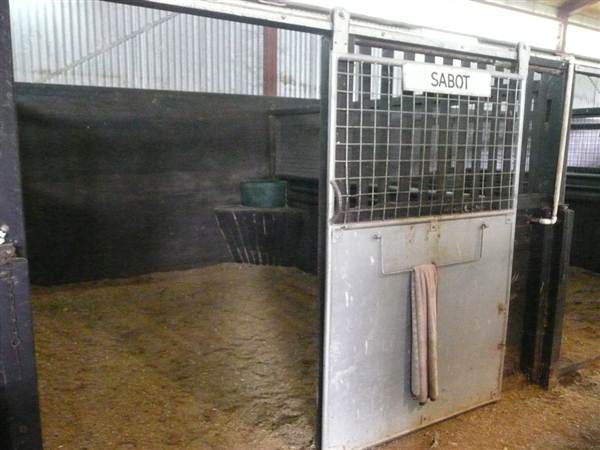 Lomar Park Stud (7/03/2013 10:02:18 AM)