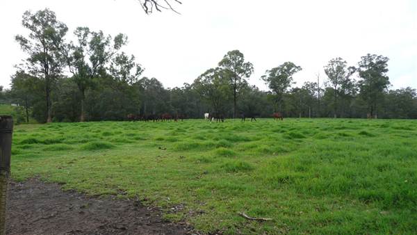 Lomar Park Stud (7/03/2013 10:02:41 AM)