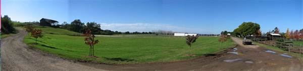 Malniri Park Stud (7/03/2013 12:09:51 PM)