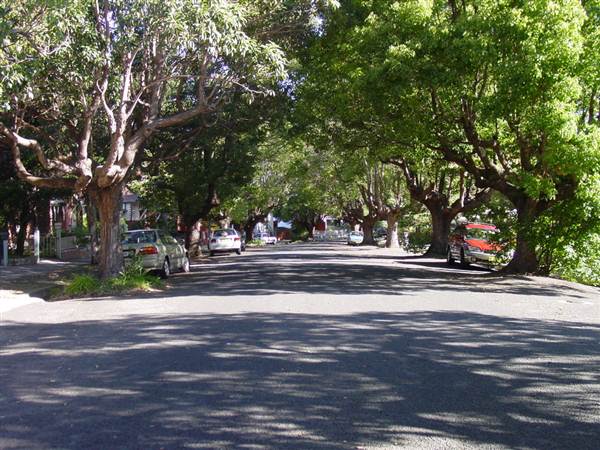 Marrickville Neighbourhood (7/03/2013 12:32:35 PM)