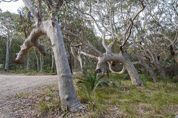 Murramarang National Park (7/03/2013 2:21:00 PM)