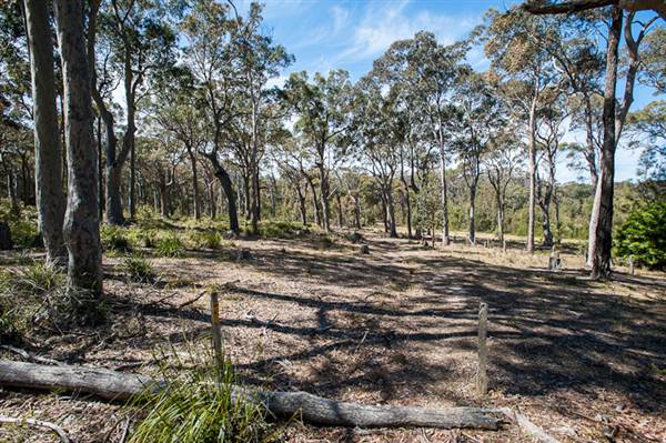 Murramarang National Park (7/03/2013 2:24:15 PM)