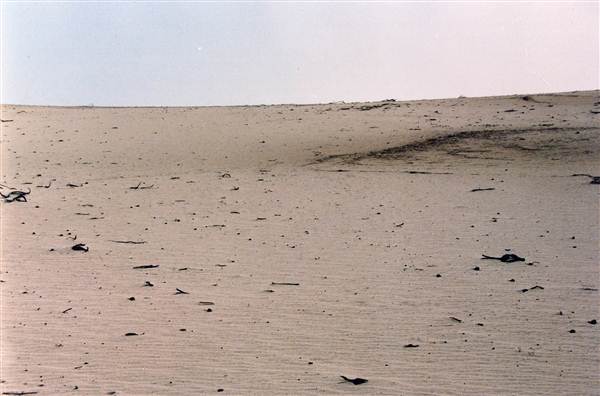 Milkengay Lake Sand Dunes (7/03/2013 11:04:14 PM)