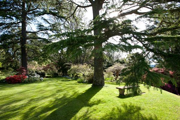Milton Park Country House Hotel & Spa (7/03/2013 11:37:43 PM)