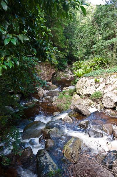 Minnamurra Falls (7/03/2013 11:41:56 PM)